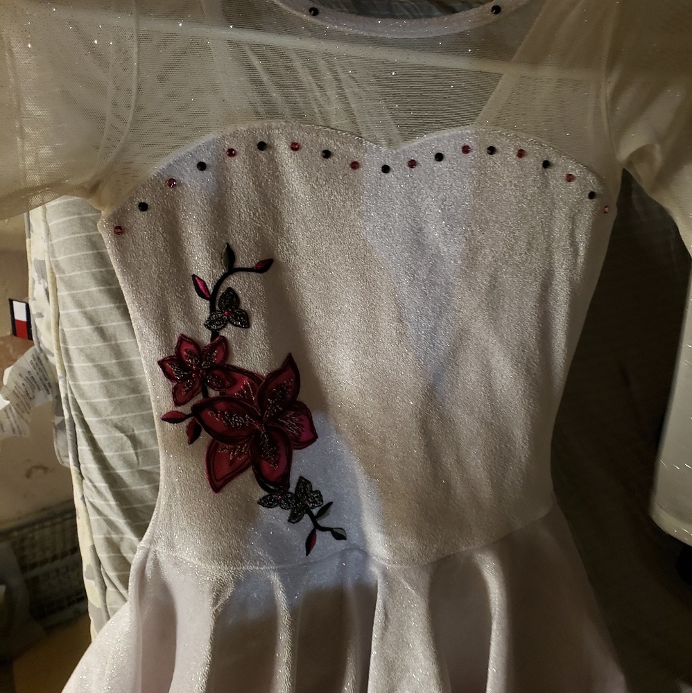 Custom dance/skating dress